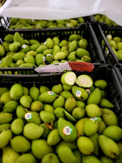 Oaxaca Mexican Products Inc en Passaic
