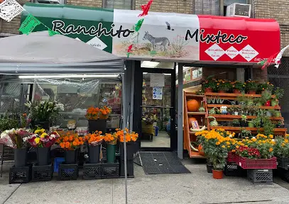 Ranchito Mixteco en New York